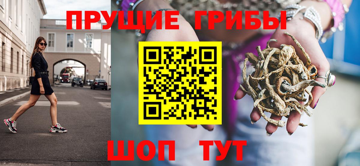 Псилоцибиновые грибы прущие грибы Армавир